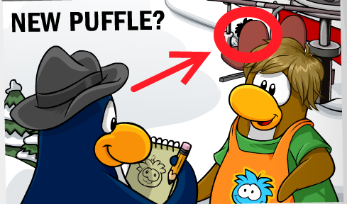 What are Puffles codes?